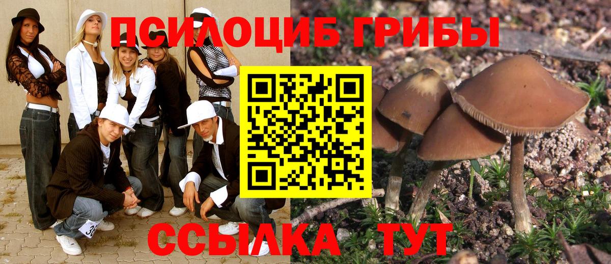 Псилоцибиновые грибы Psilocybe Ногинск