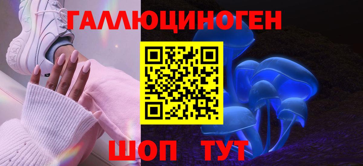 Галлюциногенные грибы Psilocybine cubensis  Вход с VPN  Ногинск 